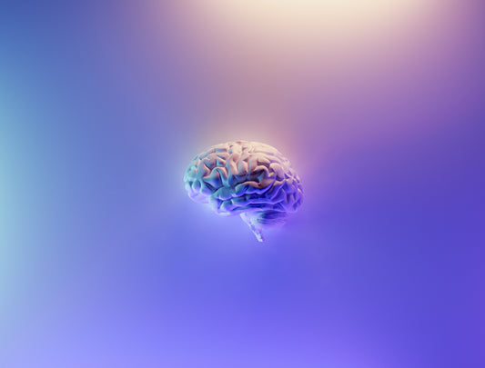 Brain floating in the middle of the image, lit up in an array of lights ranging from a light orange, pinks, blues, and purples. Used to be a cover image for Alzheimers / Brain Awareness month.