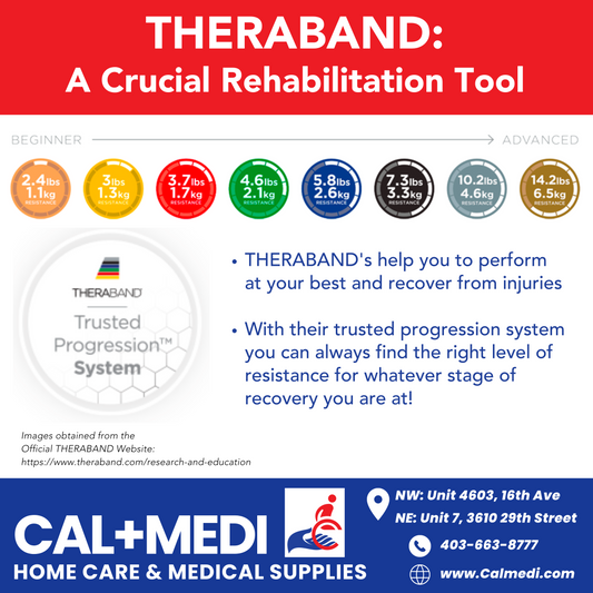 THERABAND® - Professional Latex Resistance Tubing [Sold Per Foot]
