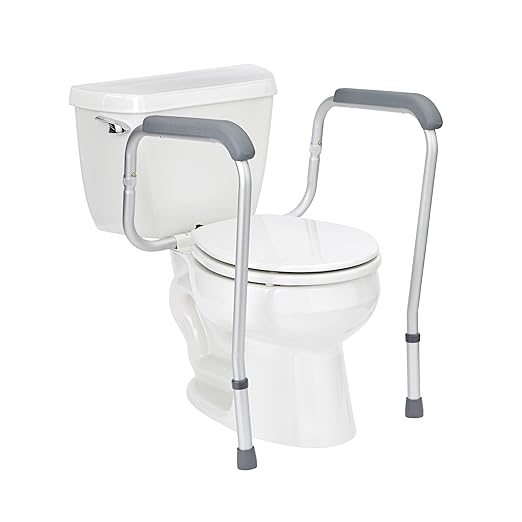 Toilet Safety Frame