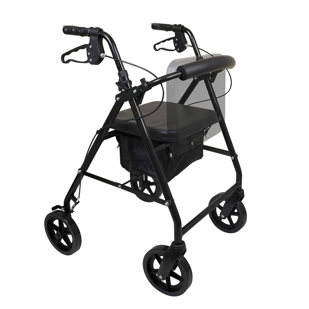 ProBasics Deluxe Aluminum Rollator with 8-inch Wheels