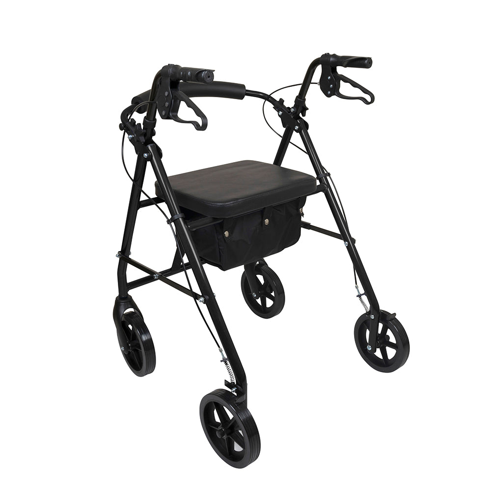 ProBasics Deluxe Aluminum Rollator with 8-inch Wheels
