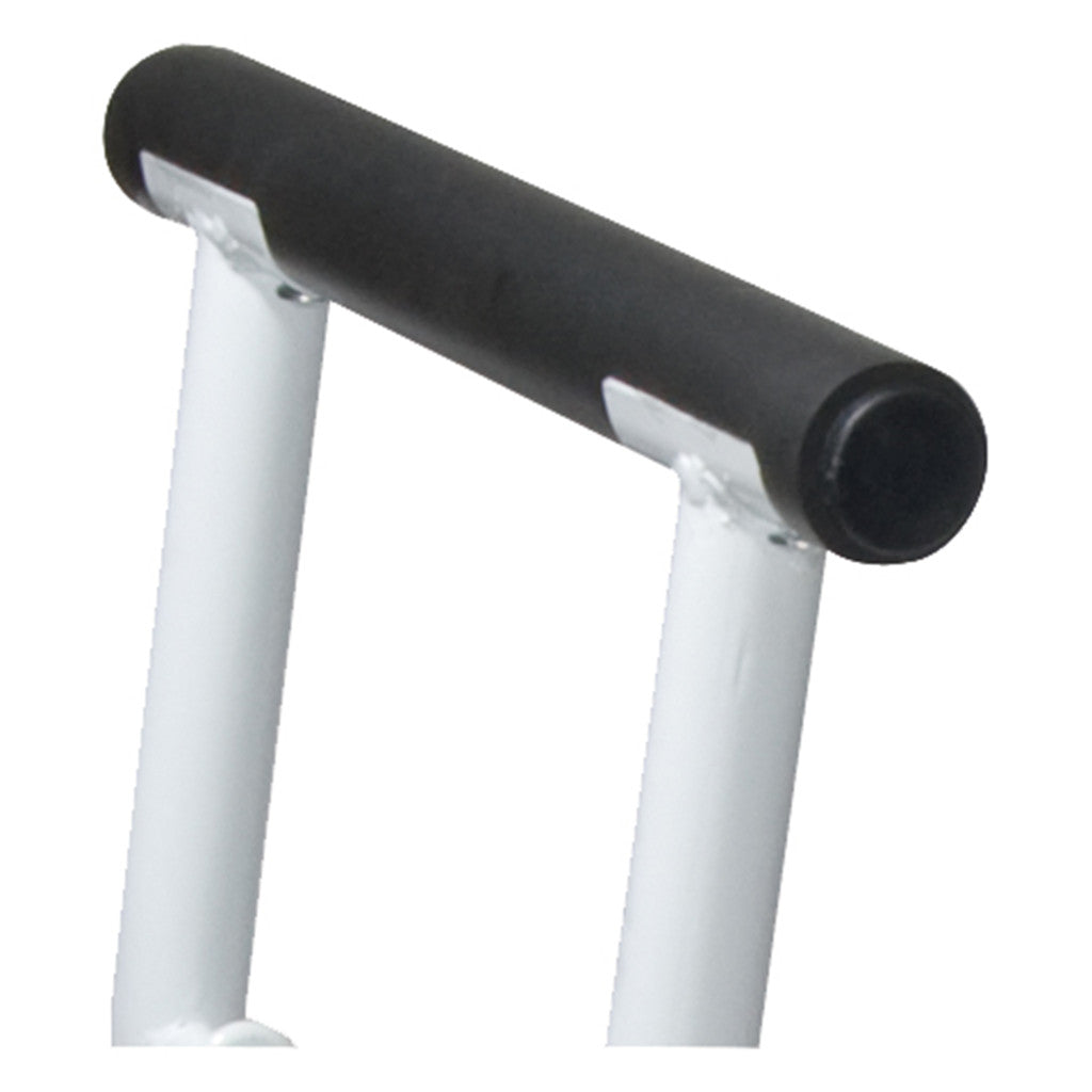 Free-standing Toilet Safety Rail
