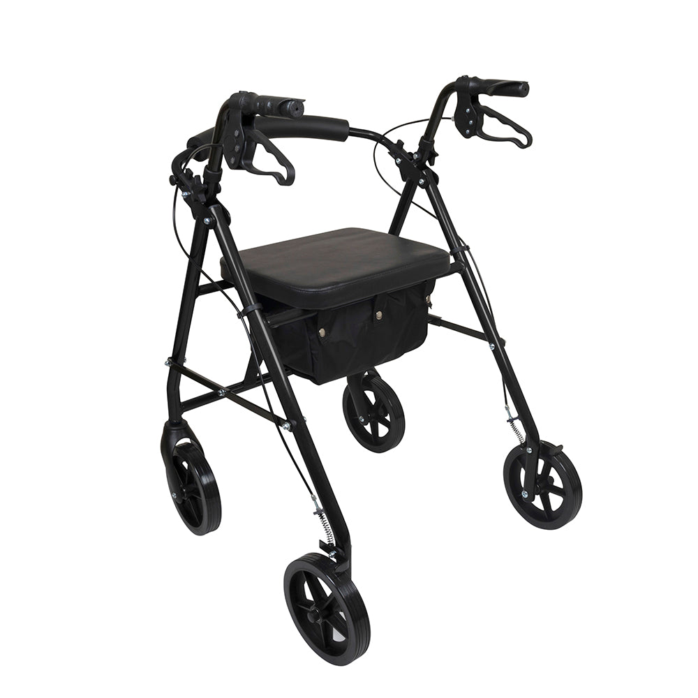 ProBasics™ Deluxe Aluminum Rollator with 8-inch Wheels